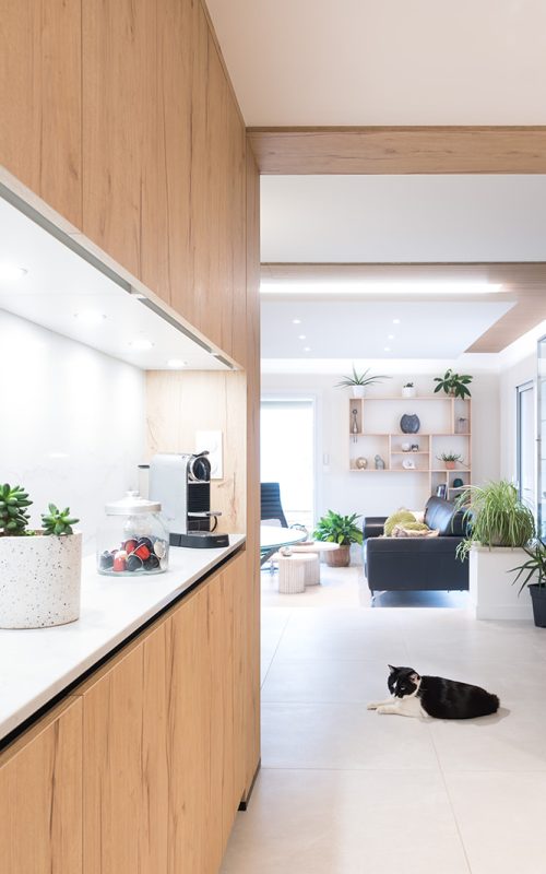 GC Intérieurs – Projet Salerno gaelle chaymol - design d’espace, architecture intérieure et décoration intérieure - conception de cuisine, choix mobilier et décoration, préconisation matériaux - chantier meyzieu Lyon